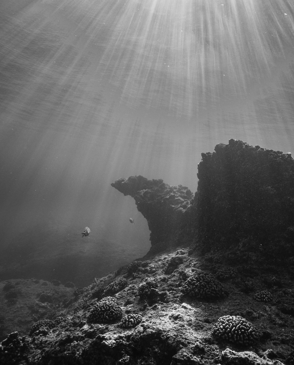 below