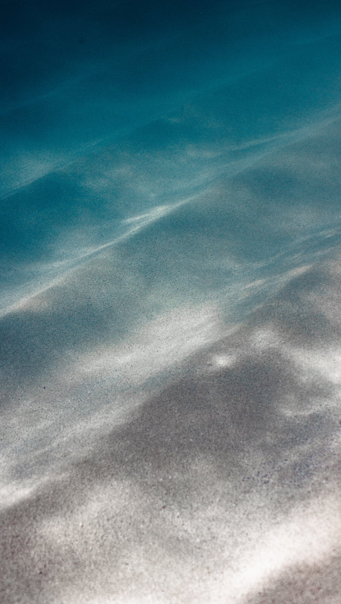 shallows